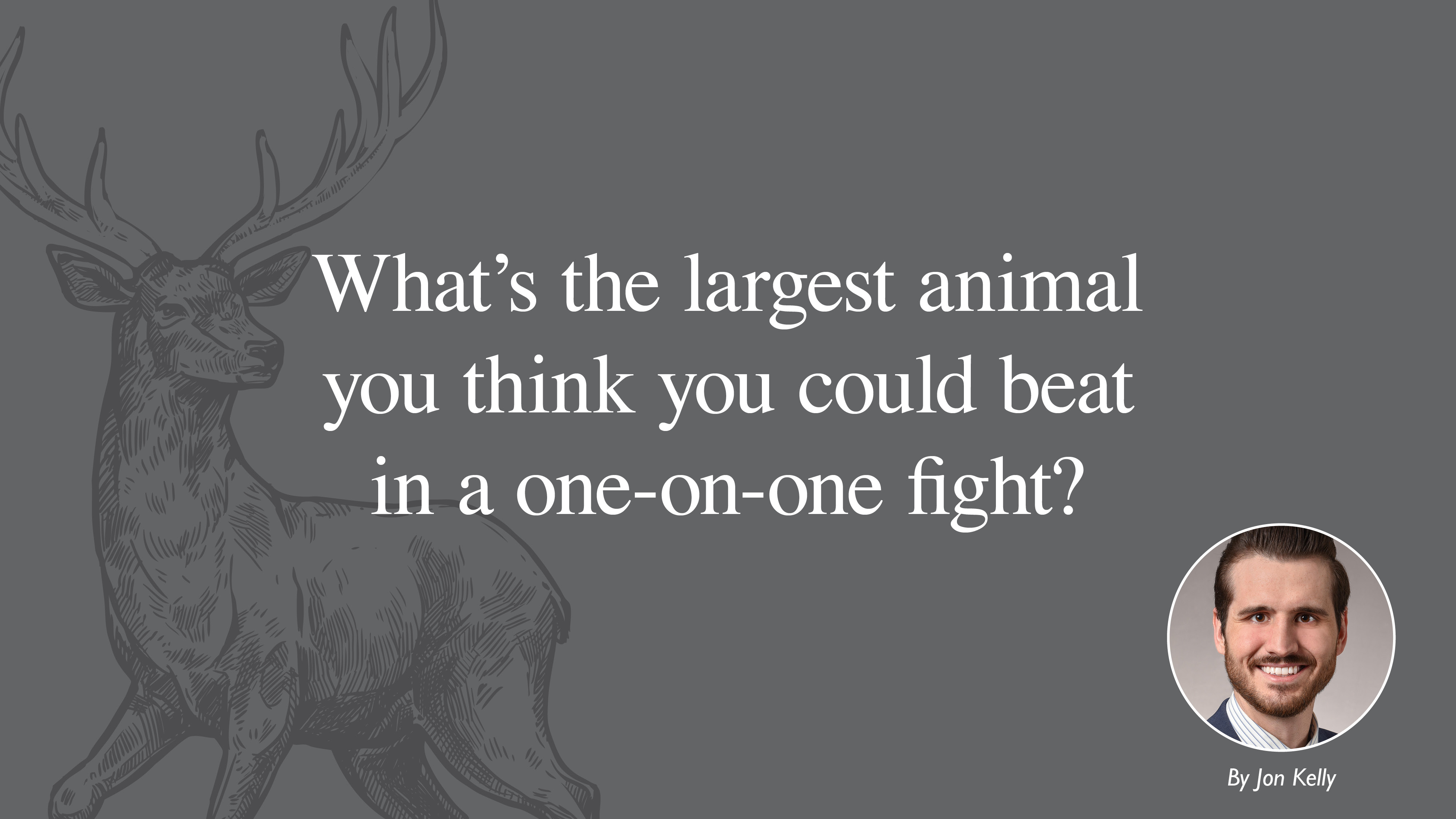 What’s the largest animal you think you could beat in a one-on-one fight? 